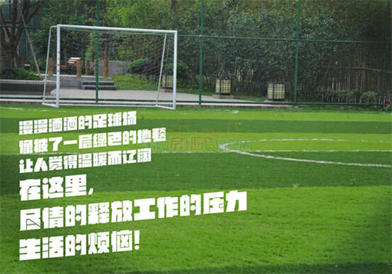 6_副本.jpg