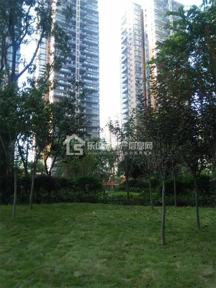 蓝湾半岛中庭实景图
