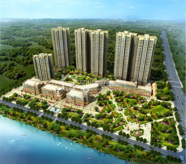 铂金汇 "校"傲江湖任我行 名校就在家门前 铂金汇 "校"傲江湖任我行 名校就在家门前