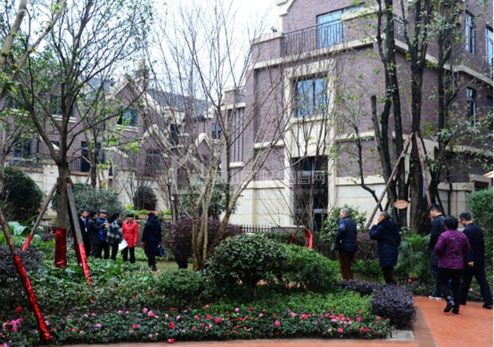 暖冬归家点亮幸福 滟澜洲·央墅12月4日完美交房