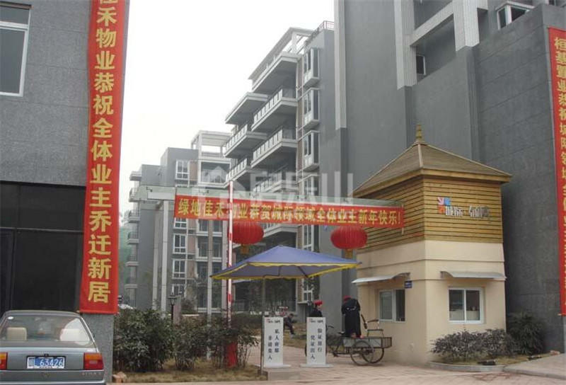 项目实景图