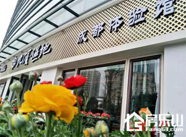 QQ截图20170306092929.jpg