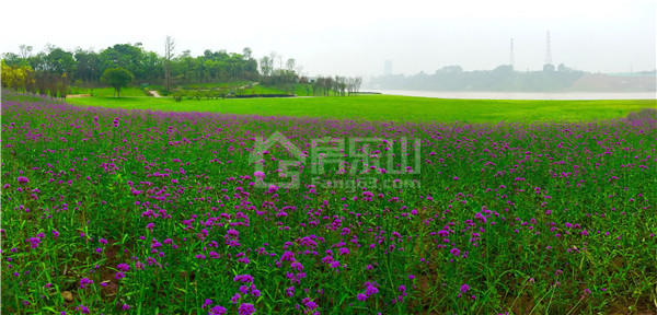 11175026cce4d28e1d9812.jpg 03_副本.jpg