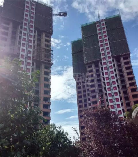 凤凰国际——最新工程进度及价格走势播报（三）