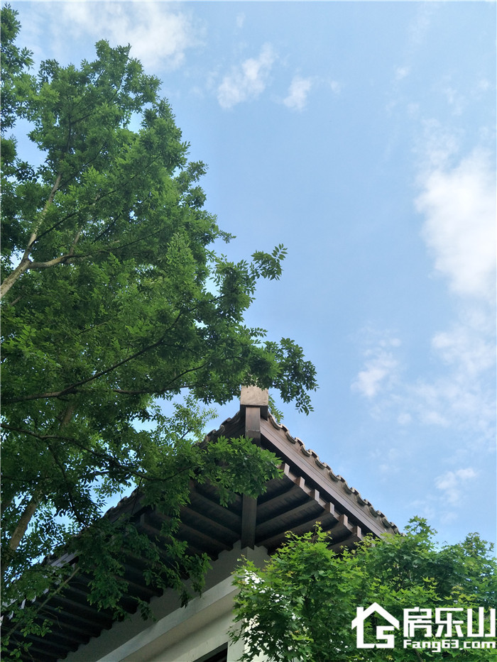 九宾湿地实景图