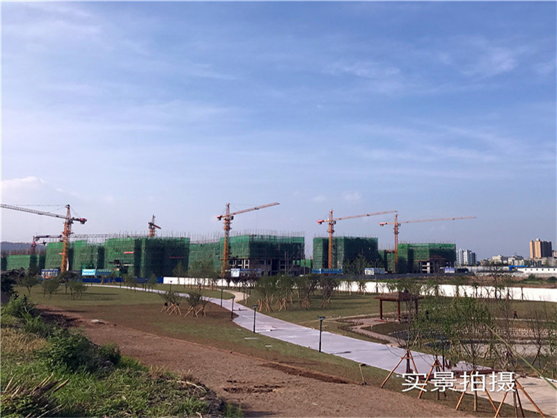 棕榈银滩实景图