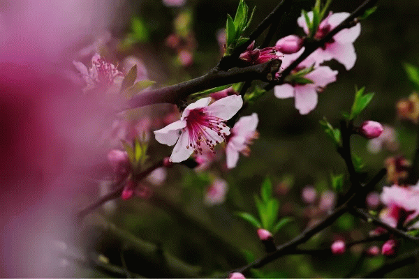 1215413456c8f5531e1202.gif