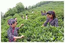 121546068a1fba0ad61996.gif 640(36)_缁撴灉.gif