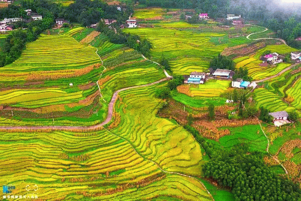 1215471459cd94392a7319.gif 640(40)_缁撴灉.gif