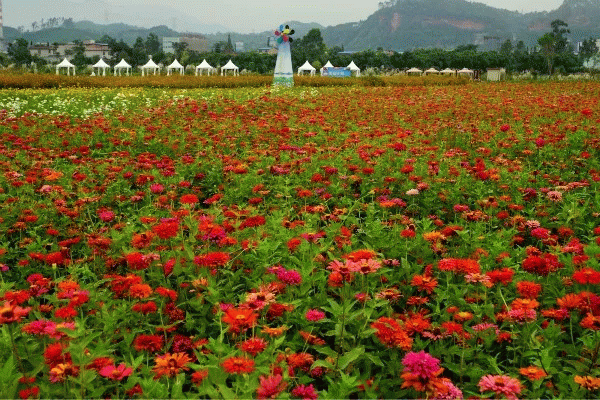 12154731335c4d74ea1223.gif 640(42)_缁撴灉.gif