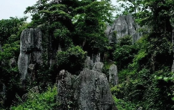 1215481449281897030572.gif 640(48)_缁撴灉.gif