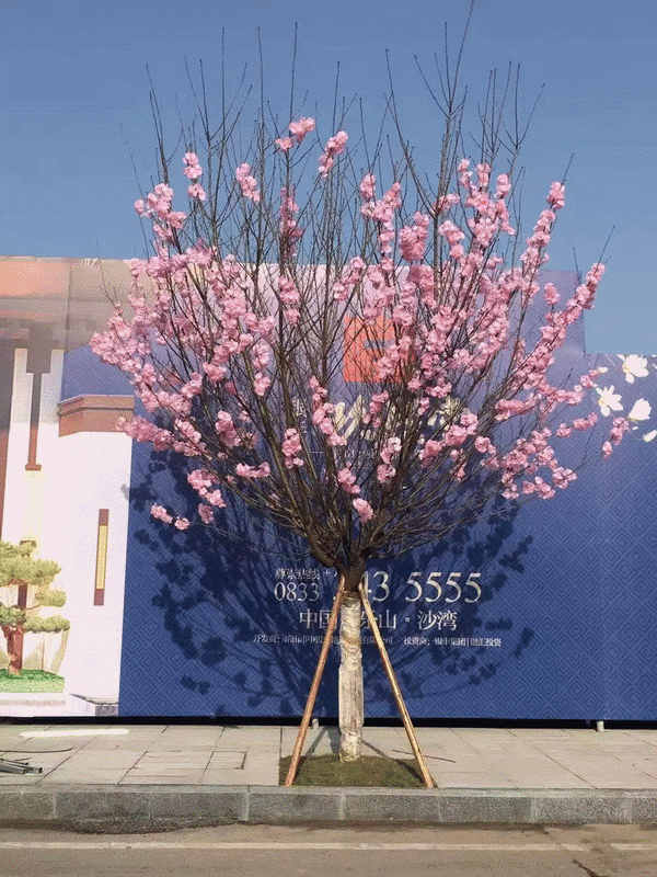121549486a6842e6750531.gif 640(58)_缁撴灉.gif