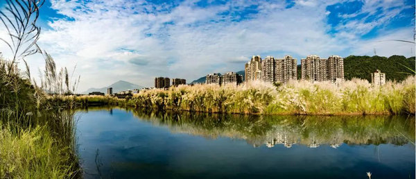 大渡河国家湿地公园