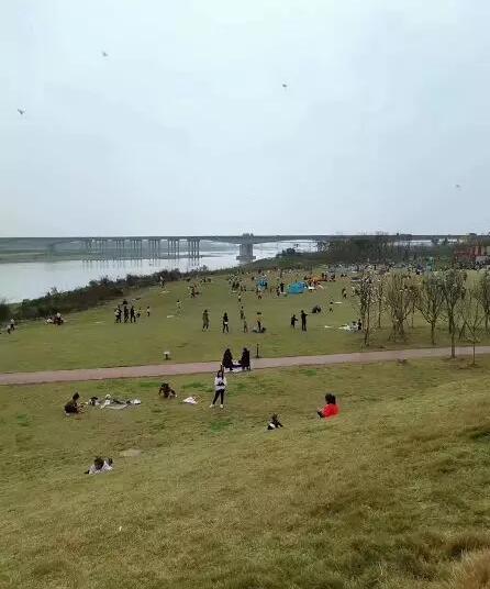 121419009a34c1b8e99444.jpg QQ截图20190312141805.jpg
