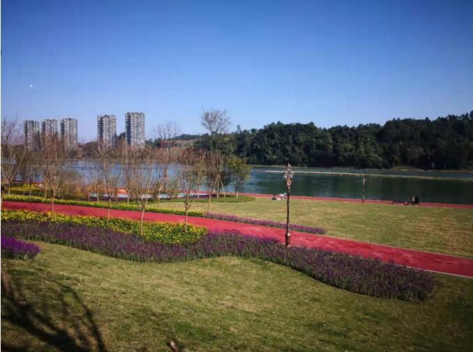 12141954d10918fefc0531.jpg QQ截图20190312141947.jpg