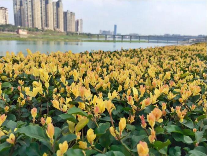12142004193000406d5644.jpg QQ截图20190312141954.jpg
