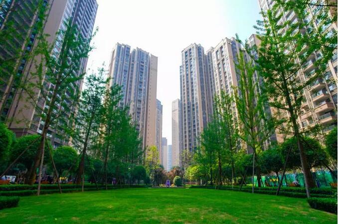24102438c9c5615f051036.jpg QQ截图20190424101648.jpg