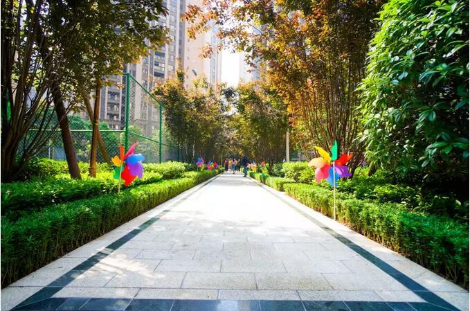 241024506c1d57ca2b9984.jpg QQ截图20190424101704.jpg
