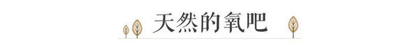 27175545d8167f645c7943.jpg 640(1)_缁撴灉.jpg