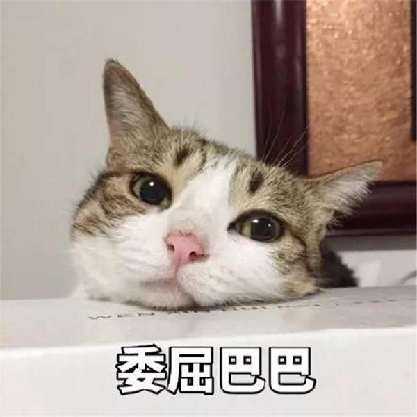 3116492291a90830ff9338.jpg 微信图片_20191031164328.jpg