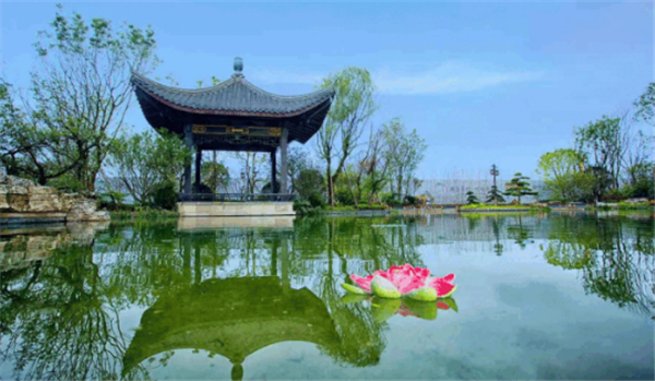 31165159ae0fda2ce72951.png QQ截图20191031164432.png