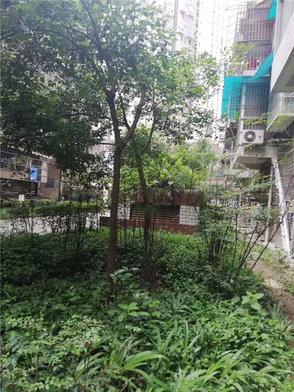 02160126518d674d423123.png 12.其他公共图.png