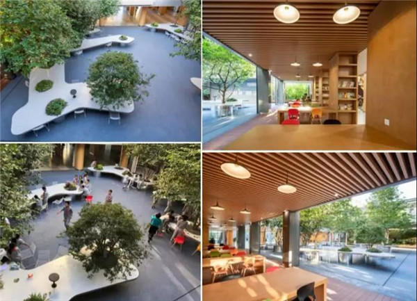 221737049712ecabb79327.jpg 微信图片_20191122145940.jpg