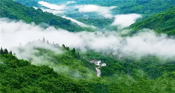 07170858499a3f6c4c9947.jpg 微信图片_20191207165503.jpg