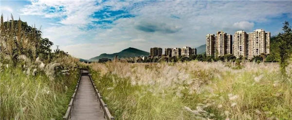 大渡河湿地公园效果图 大渡河湿地公园效果图