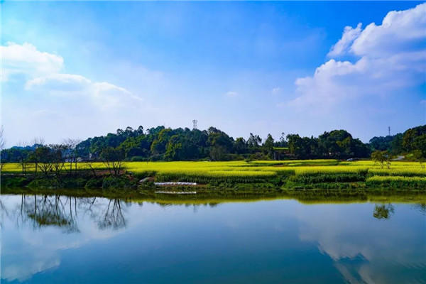 /实景图