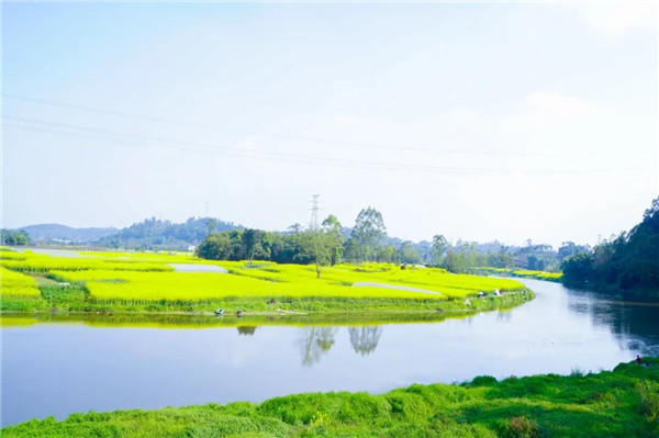九宾湿地实景