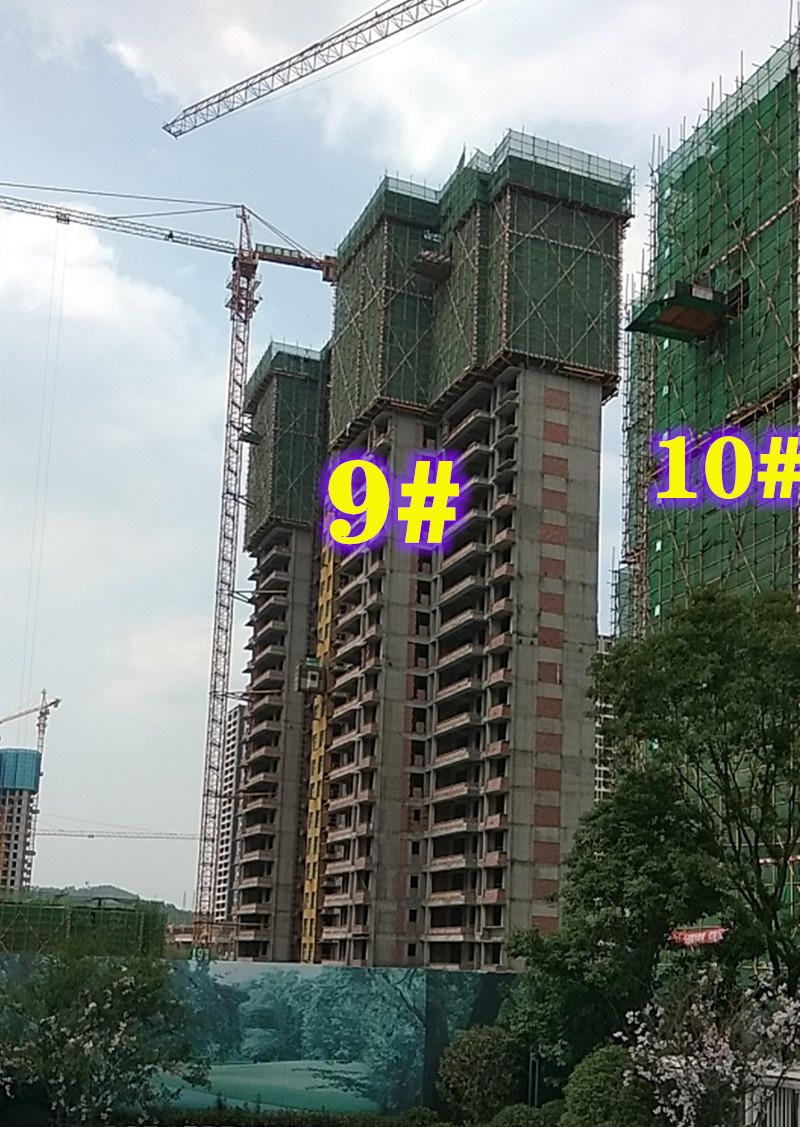 310954117d013dfeee3690.jpg 9鍙锋ゼ.jpg