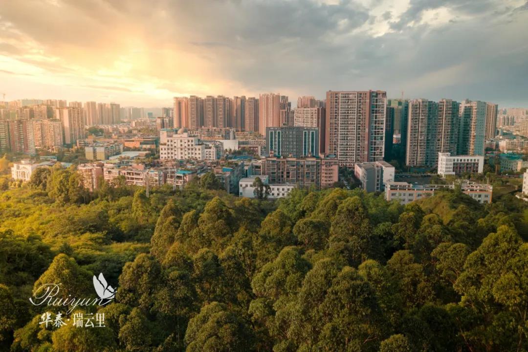 绿心公园实景图 绿心公园实景图