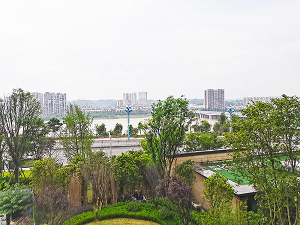 大渡河府观景实景图 大渡河府观景实景图