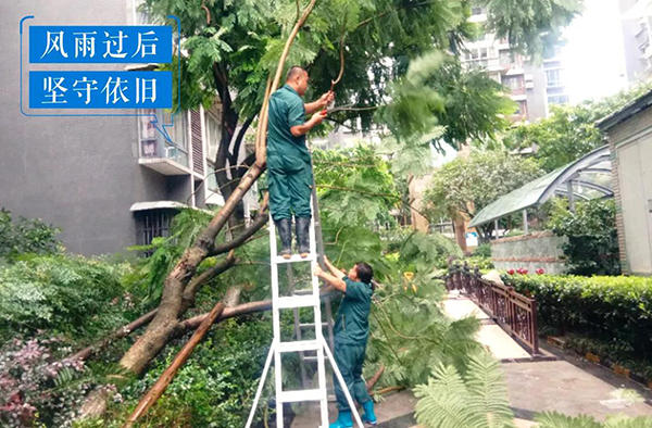 010947067dfa36c17c9201.jpg 寰?俊鍥剧墖_20200901093155.jpg
