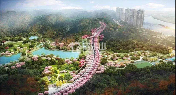 绿心公园实景图 绿心公园实景图