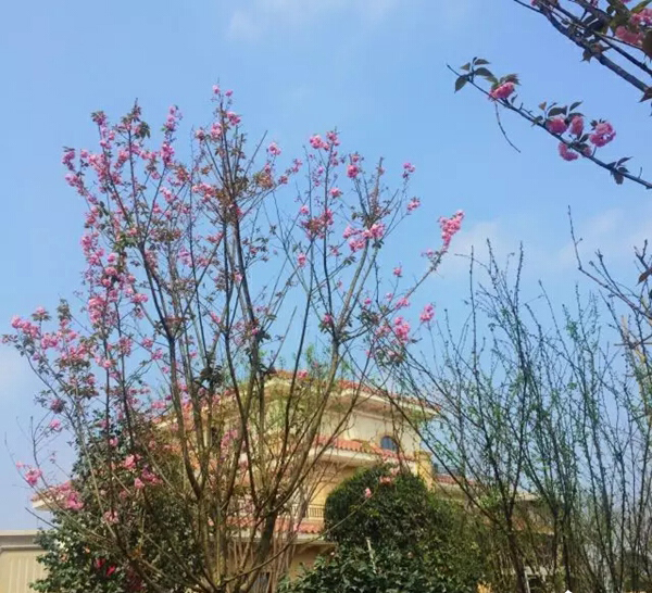 山水峨眉实景图