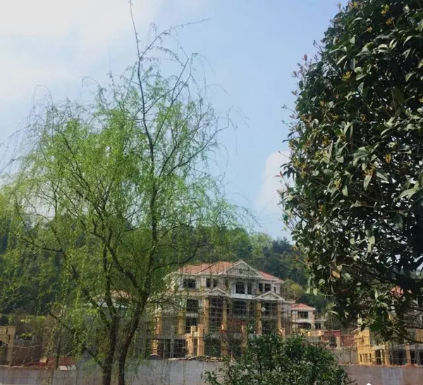 山水峨眉实景图