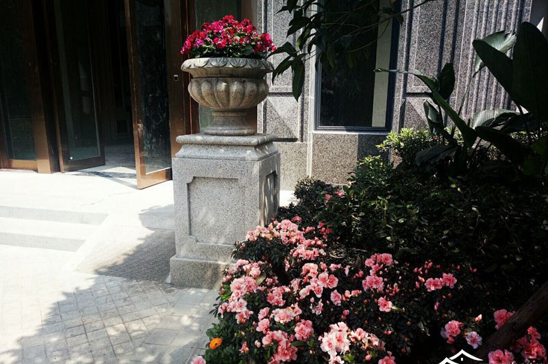 河畔明珠实景图