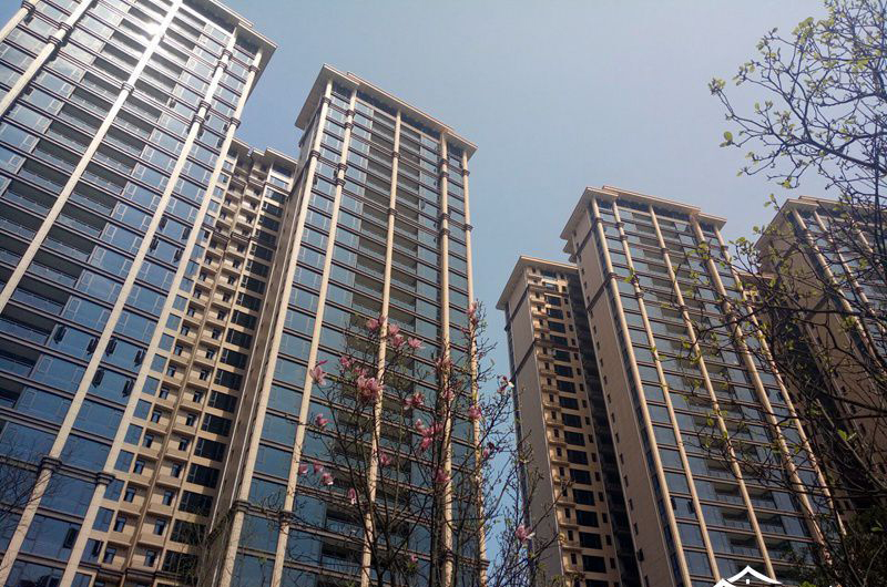 河畔明珠实景图