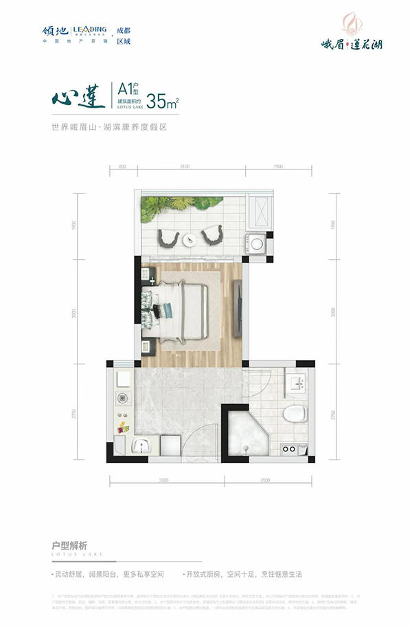 领地峨眉莲花湖套一户型图 领地峨眉莲花湖套一户型图