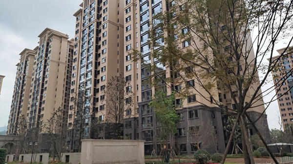 景秀峨眉4号楼实景图 景秀峨眉4号楼实景图