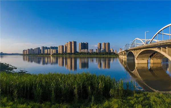 岷江2号桥实景图