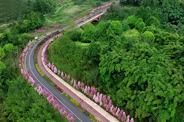 绿心公园实景图 绿心公园实景图
