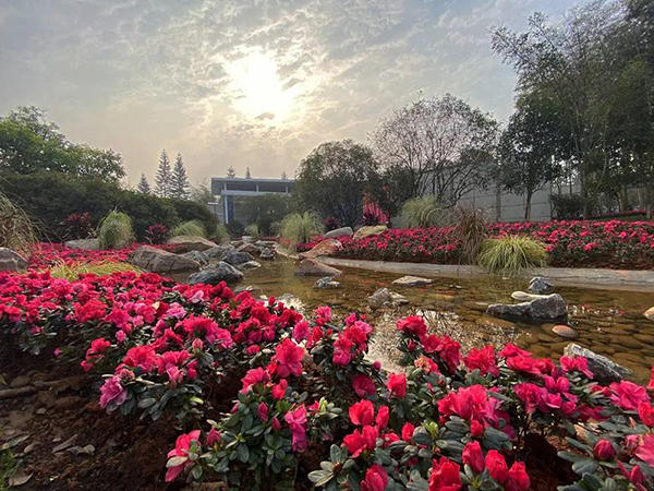 佛光湖海棠别院实景图 佛光湖海棠别院实景图