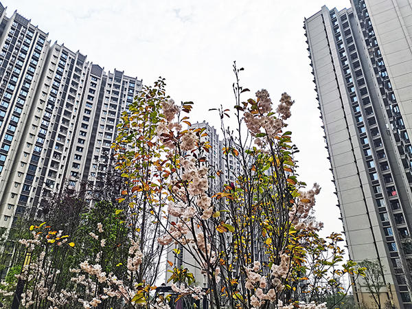 1楼和10楼价差2万？同栋不同层为何会存在差价？