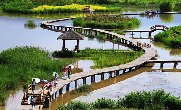 湿地示意图 湿地示意图