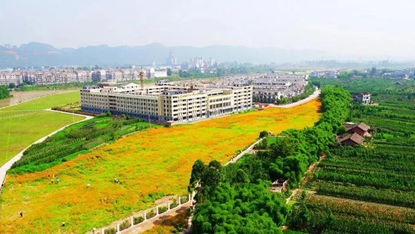 沙湾医院效果图 沙湾医院效果图