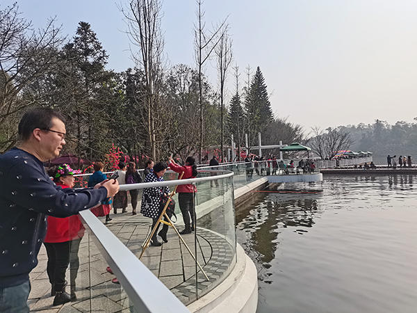 海棠别院开盘现场图 海棠别院开盘现场图