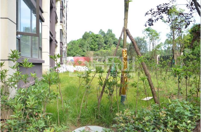 麓城项目实景 麓城项目实景